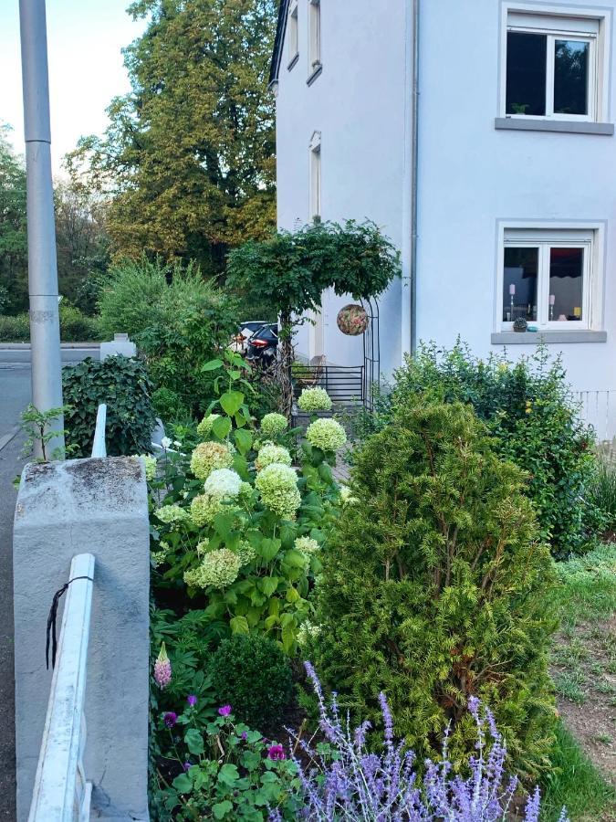 Sascha'S Home Saarlouis Bagian luar foto